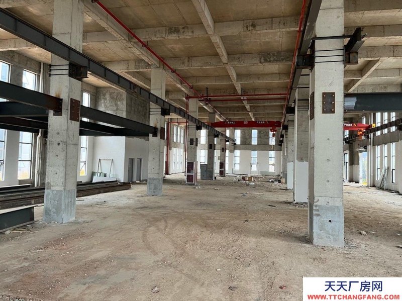 (出售) 長三角中心地區,交通便利,政府扶持項目,有員工宿舍的廠房出售