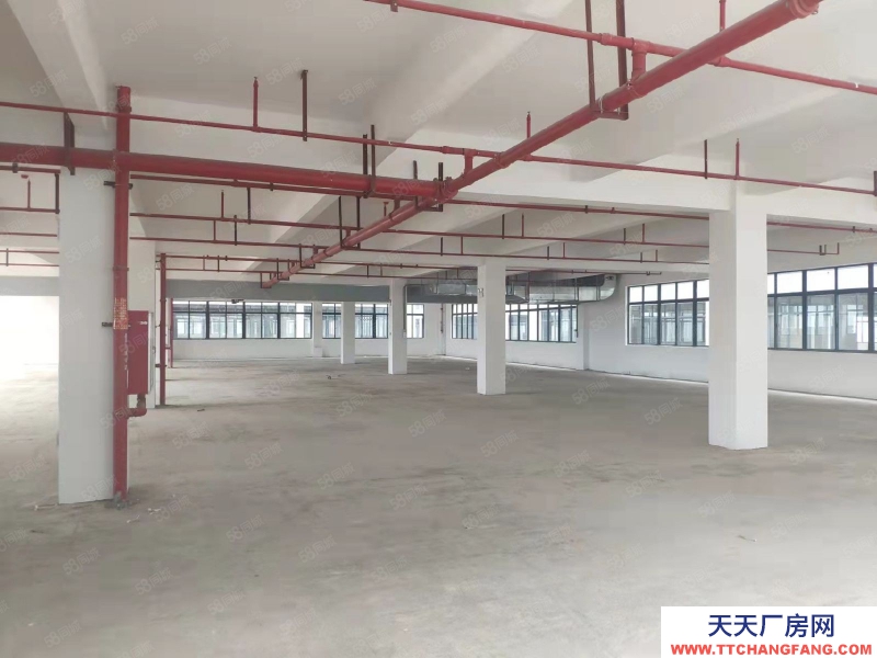 (出租) 惠州龍門縣標準廠房大小分租工業園區招工方便適合醫療器械等行業