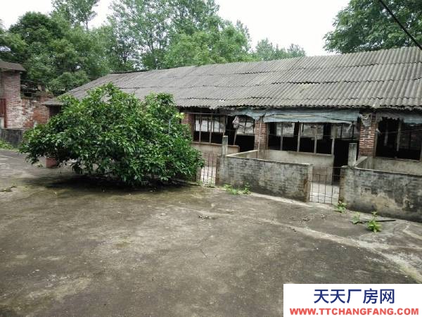 永州市祁陽(yáng)區(qū)廠房出租  廠房倉(cāng)庫(kù)出租:祁陽(yáng)市觀音灘322國(guó)道旁，四周有圍墻，交通便捷