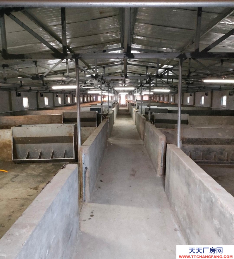 (出售) 養豬場，現有豬棚一個面積為900平米