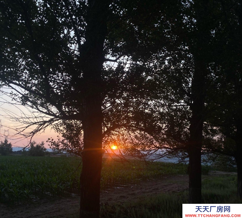 (出租) 只短租倉庫大小都有，園區內有安保看守