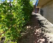 (出售)延邊和龍 曬明太魚，明太魚絲加工廠