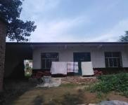 (出租) 濮陽(yáng)臺(tái)前出租大院子送一年租金