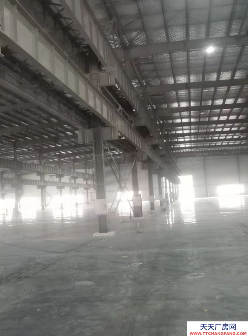 紹興市新昌(出租) 全新單一層5000方起租，30000平