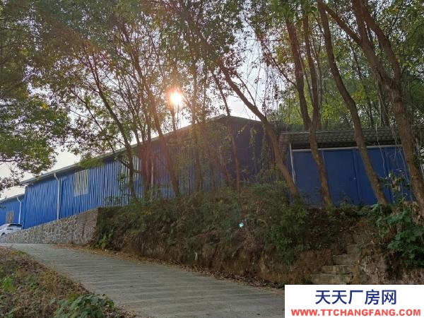 永州市祁陽區物資倉庫  廠棚倉庫陶鑄路進入荷花路