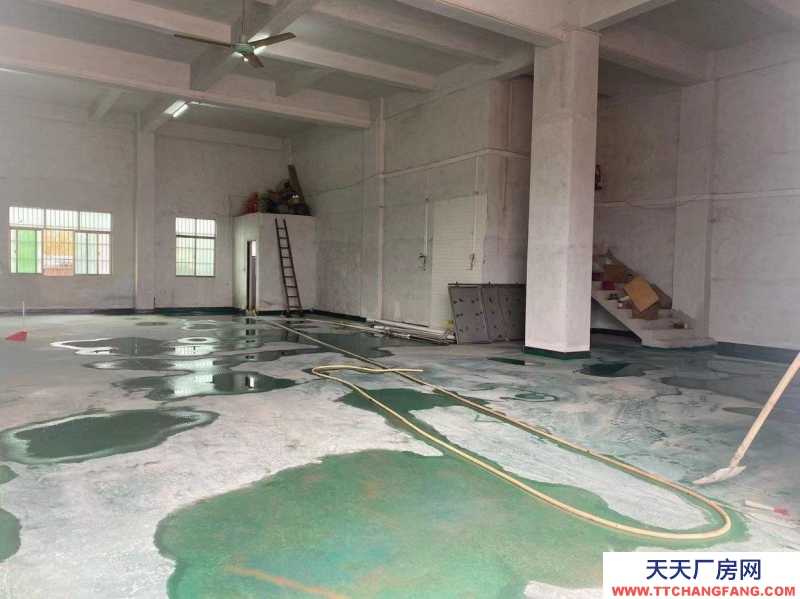 (出租) 惠州惠東五間門面層高6米可做倉庫、商鋪等