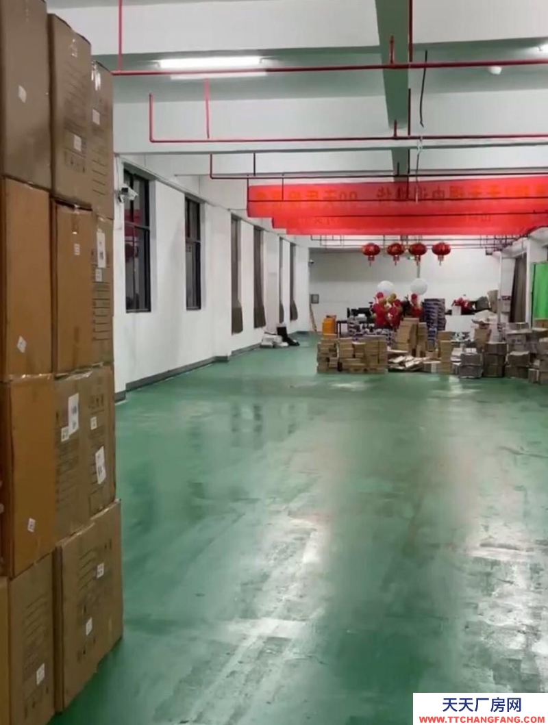 (出租) 惠州惠東電商倉庫 直播場地寫字樓辦公 倉庫