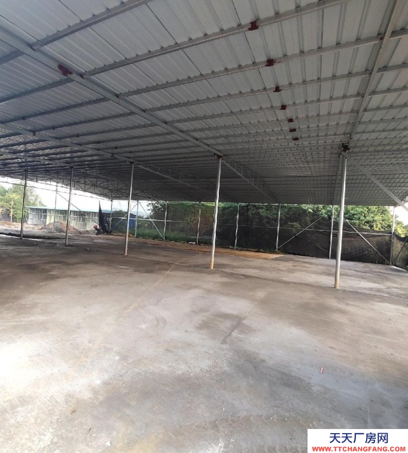 (出租) 惠州惠東帶三箱電，員工宿舍，水電齊全，可做木料倉庫