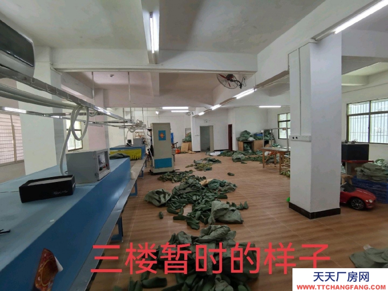 (出租) 惠州惠東適合做淘寶工作室+倉庫管理