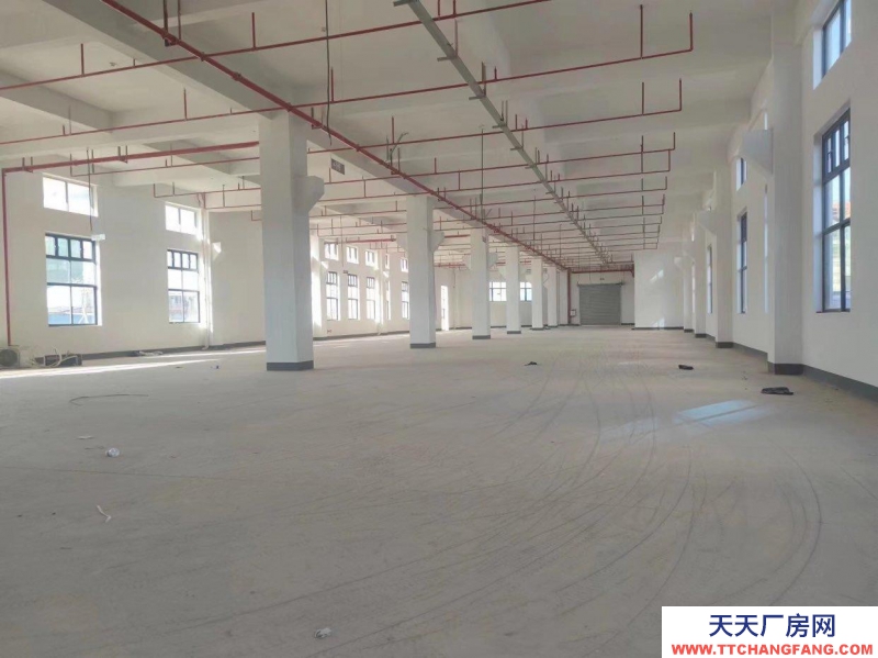 (出租) 惠州惠東電商倉庫直播場地寫字樓辦公室大型庫房