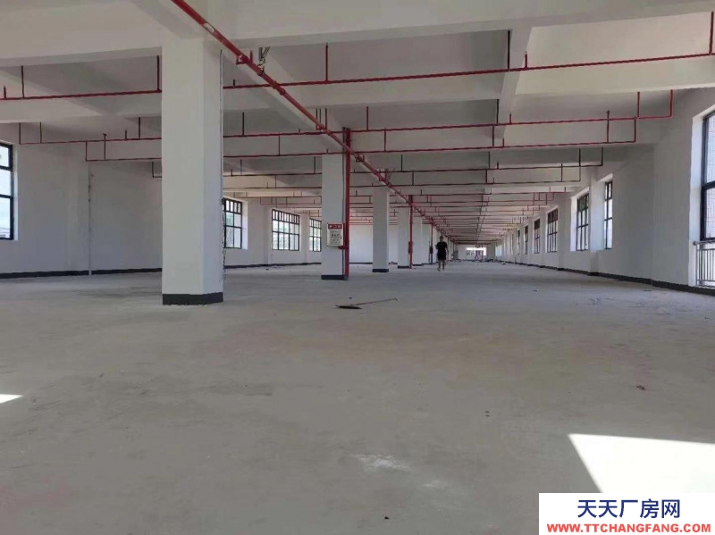 (出租) 惠州惠東電商倉庫直播場地寫字樓辦公室大型庫房