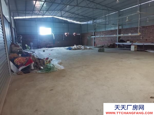 永州市新田罐頭廠房 安靜，明亮，透氣性好