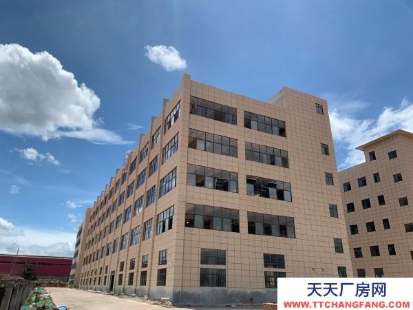 永州市藍山調味料廠房 共五層，在層，，