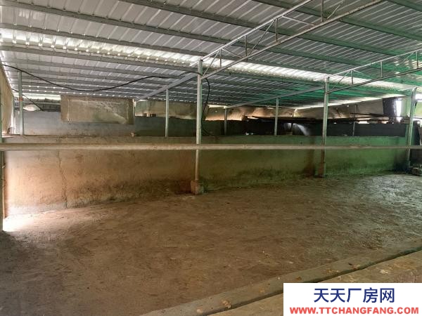 永州市雙牌養殖廠房 適合畜牧業養殖，牛羊雞鴨豬