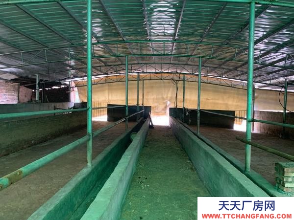 永州市雙牌養殖廠房 適合畜牧業養殖，牛羊雞鴨豬