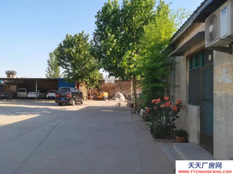 邢臺 威縣 (出租) 大廣高速下道口附近精裝大院出租