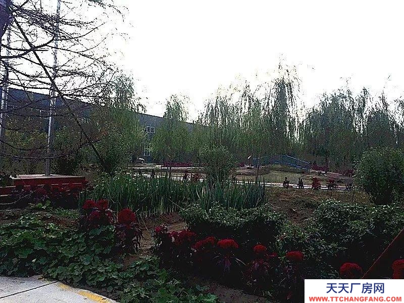 (出租) 威縣開發(fā)區(qū)廠房4萬平，水電齊全，交通便利，可整租，也可分租。