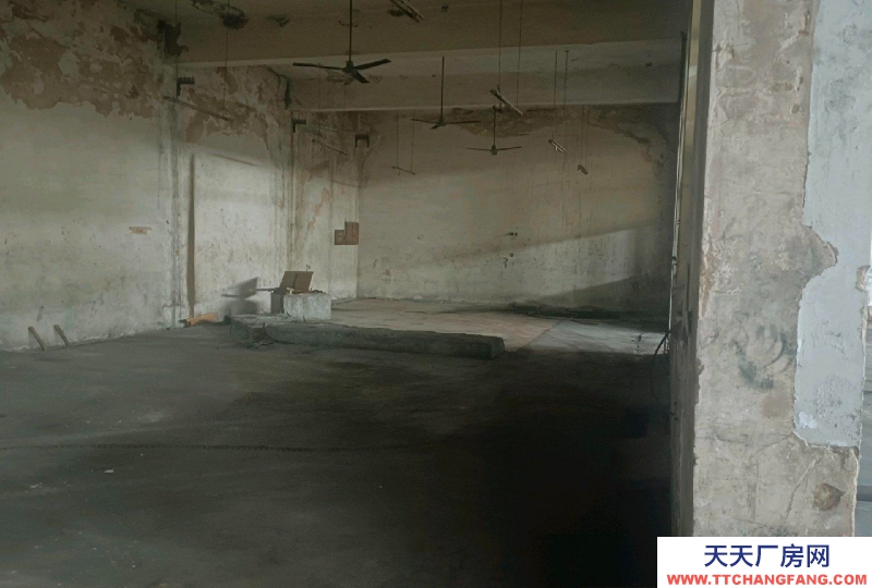 邢臺(tái) 清河 (出租) 小屯龍飛保健食品園西1000米路南