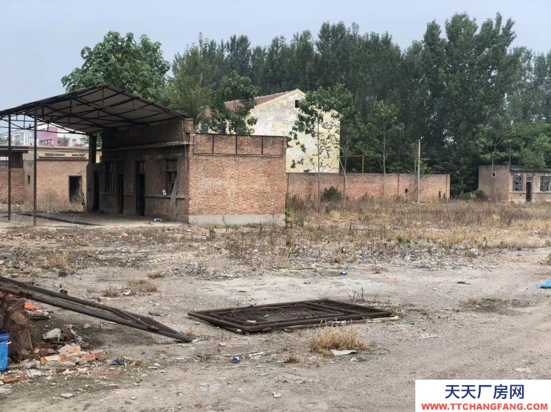 邢臺 臨西  速凍食品廠房(出租) 出租臨西臨西城區河西鎮汽車站院落