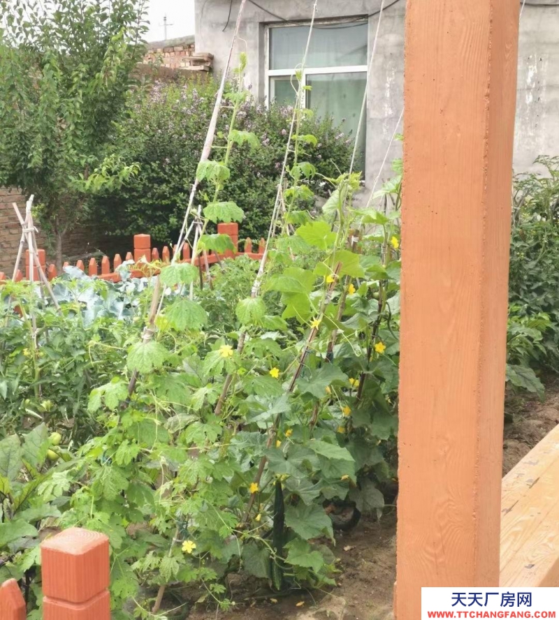 (出售) 出售玉泉區老院子丨玉泉區