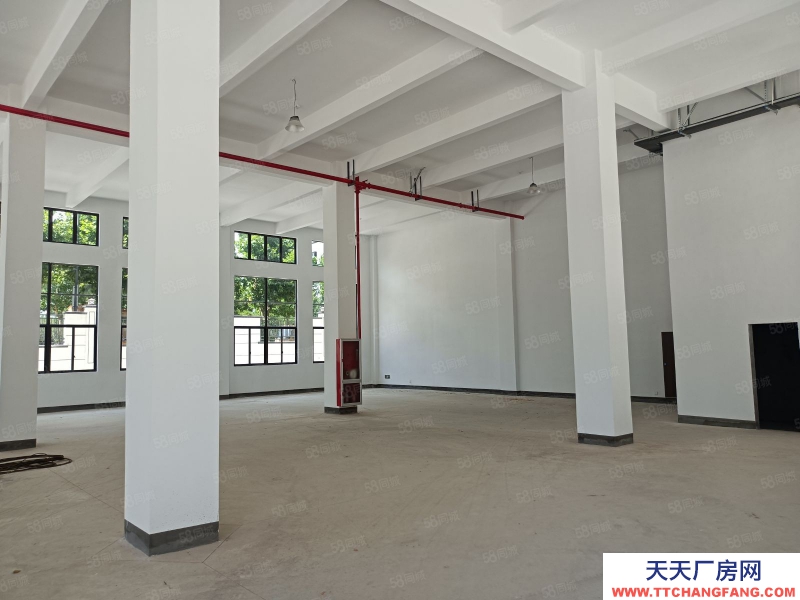 金華市婺城(出租) 獨棟精工廠房。帶露臺。電梯。整體出租