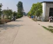 (出租) 周口鄲城加工業，好消息！可租可賣！