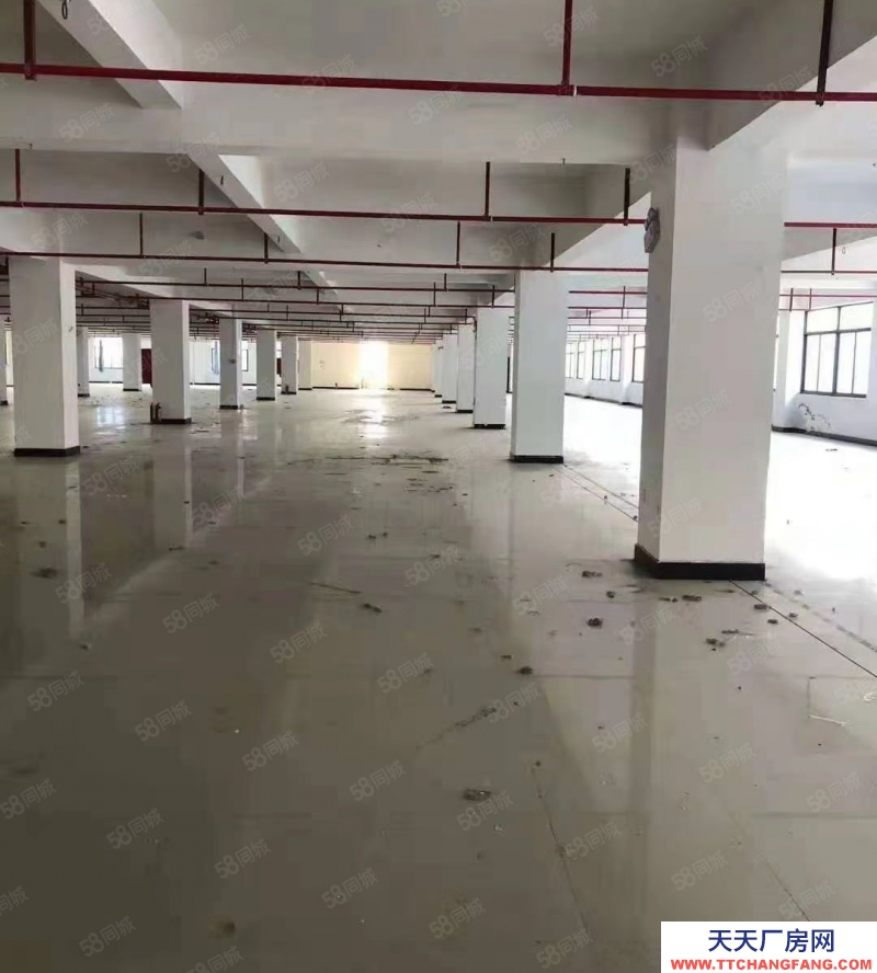 金華市金東(出租) 鞋塘標準廠房樓上3000平，院子寬敞，配套齊全