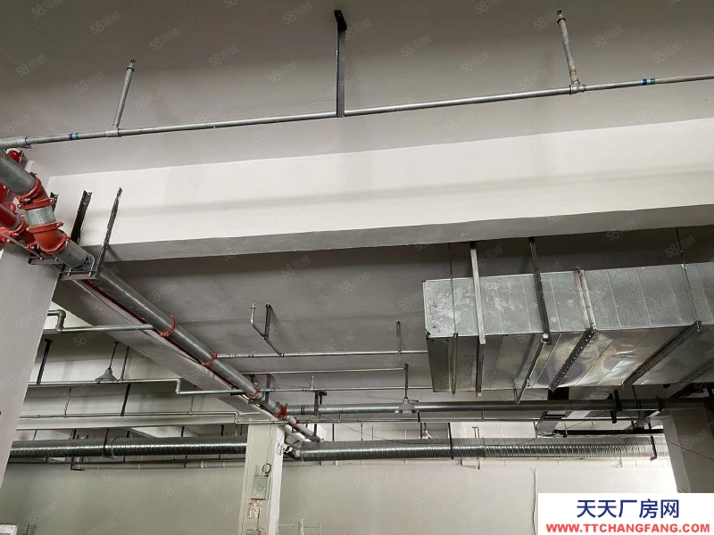 金華市金東(出售) 金東區(qū)園區(qū)廠房 獨(dú)棟出售 2550平 房東誠(chéng)心出售紡織，服裝