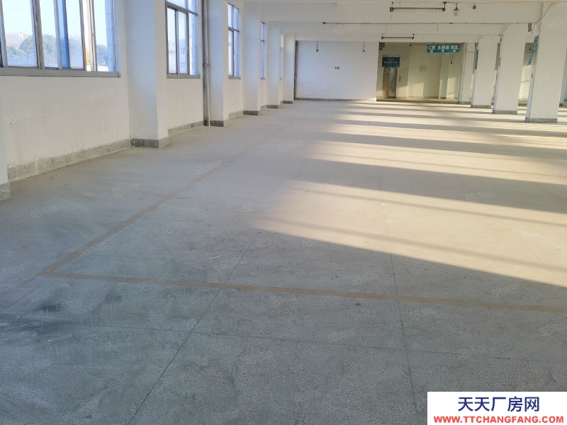 (出租) 汕尾城區東涌附近廠房3000平方一層1100平可分層租，可做培訓機構