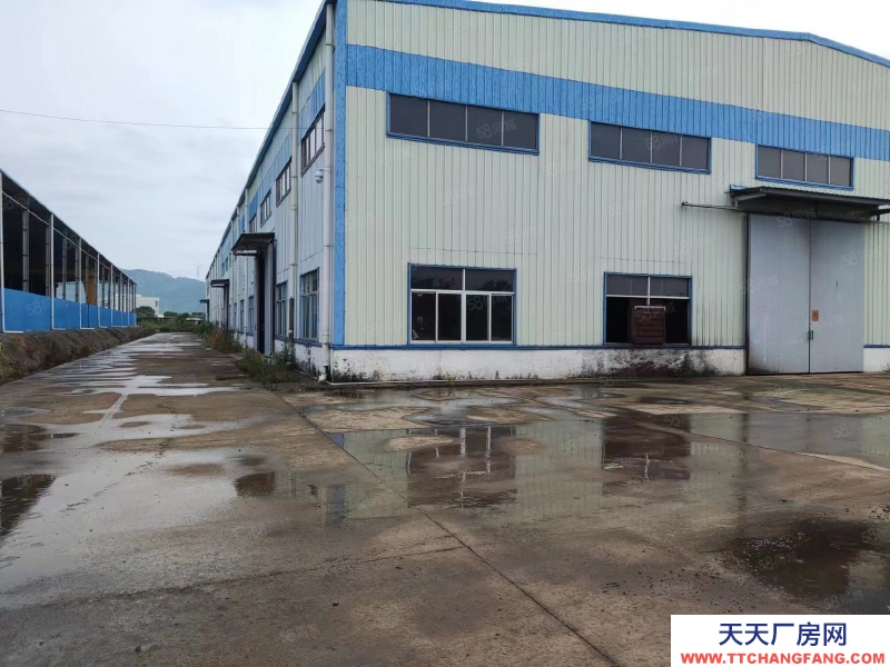 (出租) 汕尾海豐海汕公路陶河路段！3000平方 獨(dú)院倉(cāng)庫(kù)廠房，首高8米可做機(jī)電加工