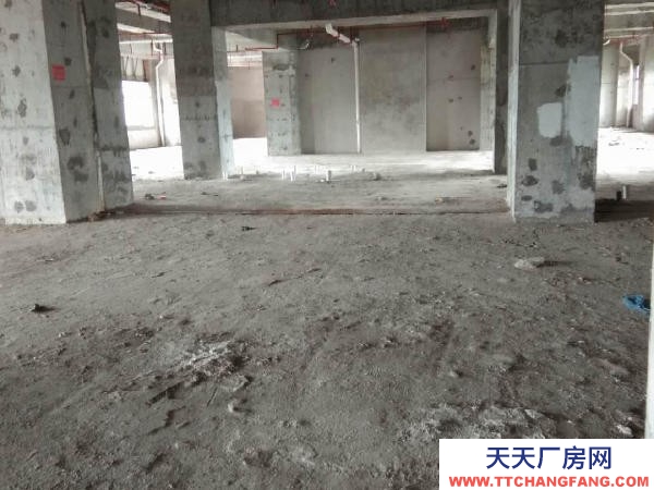 張家界市永定糕點廠房  市區金華苑臨街辦公寫字樓，整層可分割出租