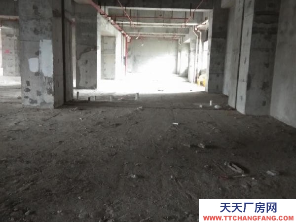 張家界市永定糕點廠房  市區金華苑臨街辦公寫字樓，整層可分割出租