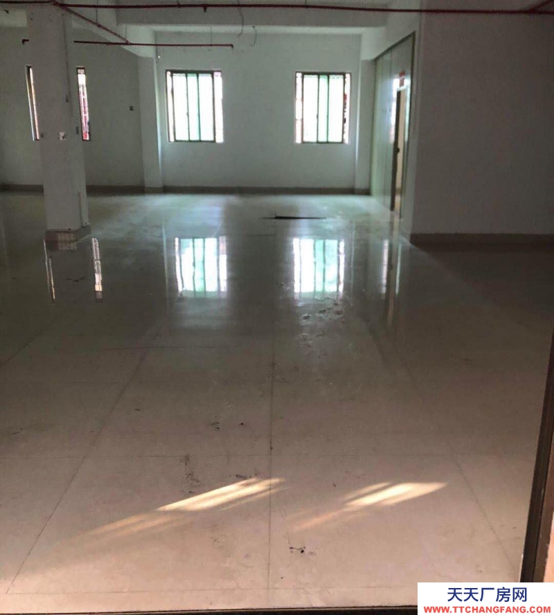 (出租) 汕尾海豐廠房出租 空間大環境好可做電商直播