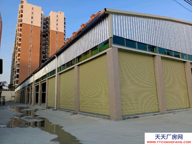 (出租) 汕尾海豐位于附城鎮(zhèn)鯉魚山工業(yè)區(qū)，交通方便。適合小型加工