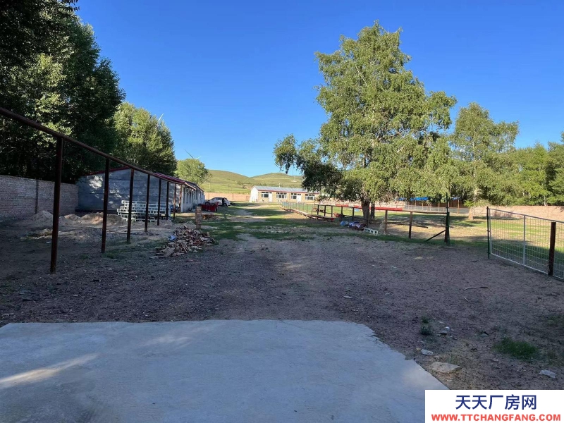 張家口 張北縣 (出租) 養殖場出租，離天路近