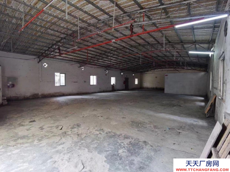 (出租) 汕尾海豐石塘北路 廠房出租 配有三相電和消防 可做任何行業