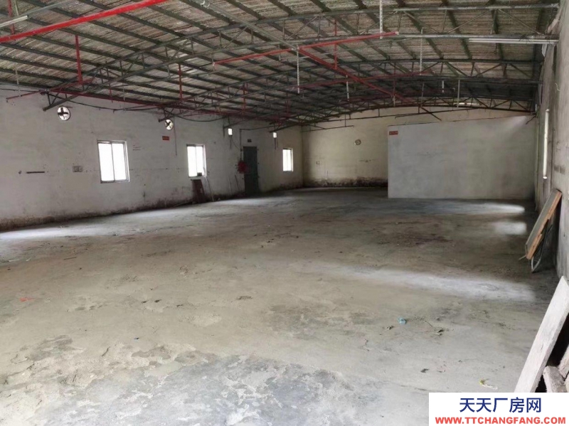 (出租) 汕尾海豐石塘北路 廠房出租 配有三相電和消防 可做任何行業