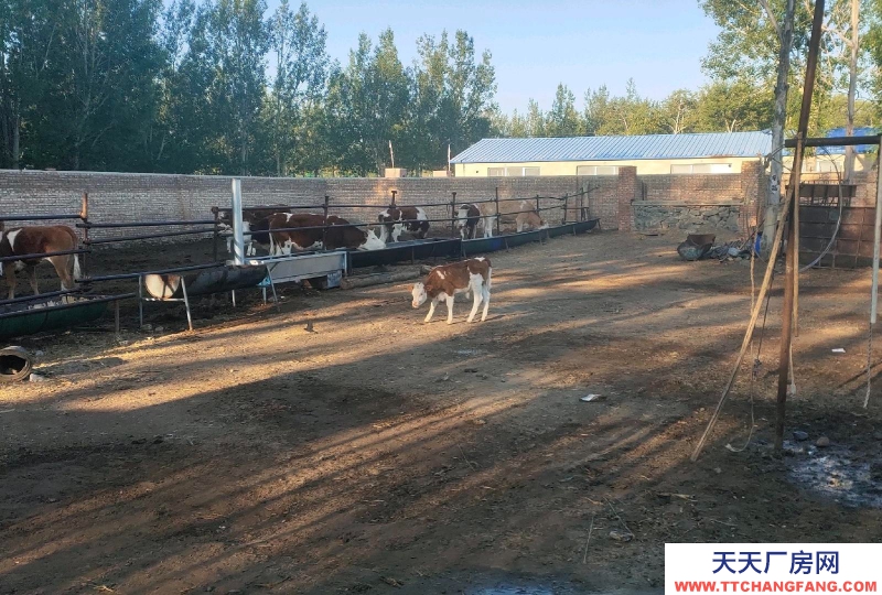 張家口 張北縣 (出售) 廠房，庫房，南山公園附近