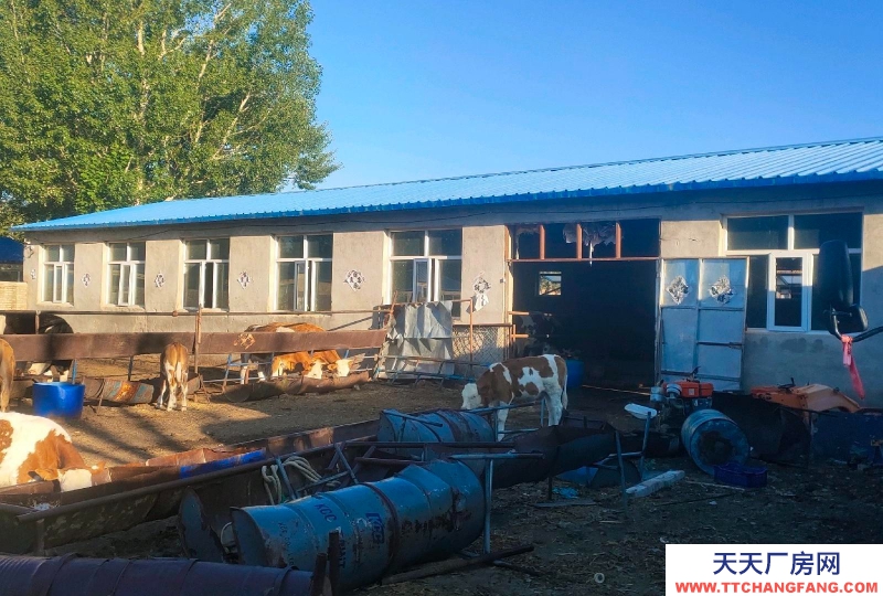 張家口 張北縣 (出售) 廠房，庫房，南山公園附近