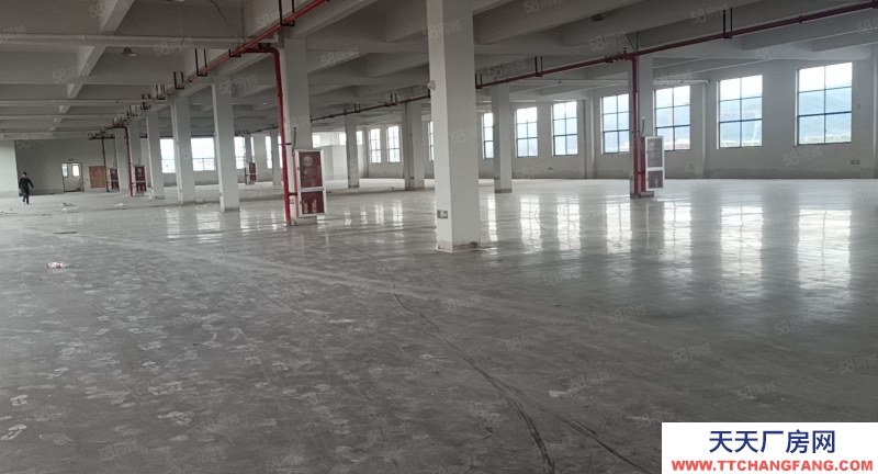 金華市武義(出租) 冷水坑標準廠房一樓800樓上4600平，出入方便，廠房全新，五金加工 機械制造