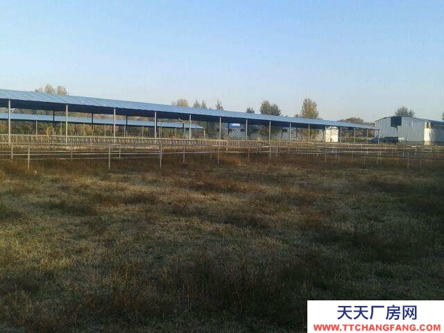 (出租) 和林格爾專業(yè)牧場，牛，羊基地，水電齊全，交通便利。