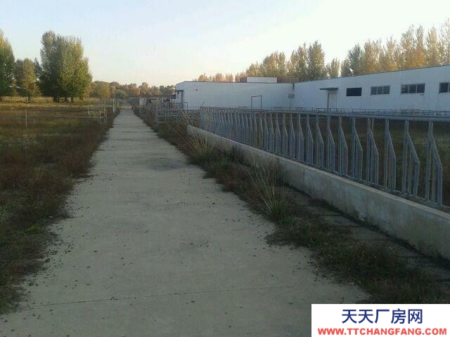 (出租) 和林格爾專(zhuān)業(yè)牧場(chǎng)，牛，羊基地，水電齊全，交通便利。