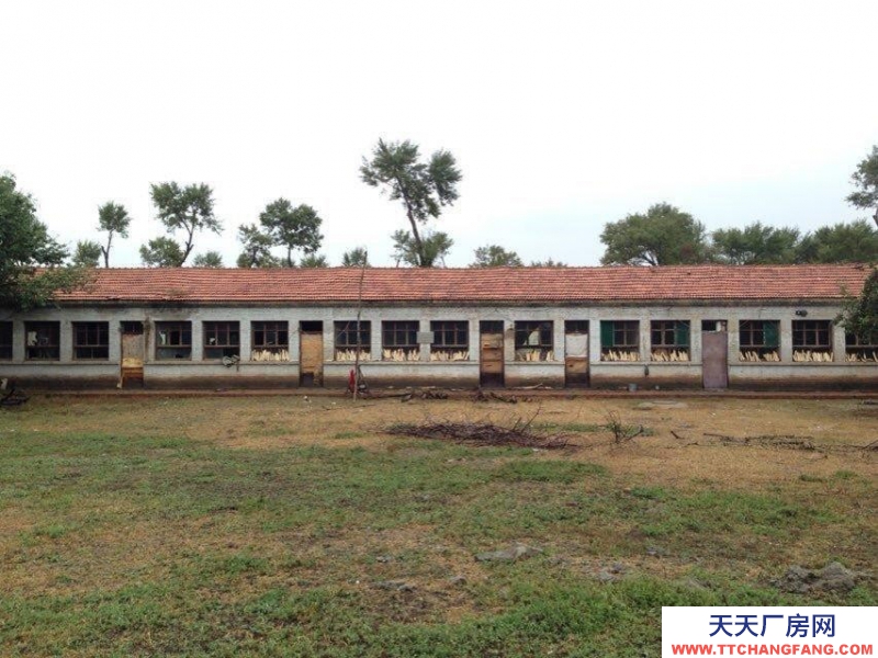 (出售) 土默特左旗沙爾營鄉新圪力圪太村廠房養殖場