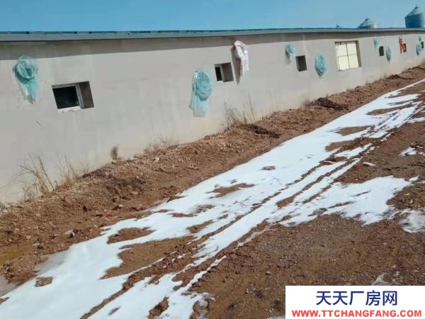 賓縣賓縣城區育肥豬場廠房出售