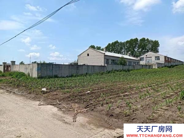 阿城占地7000平 廠房11000平 動力電 水井兩處 機械廠房