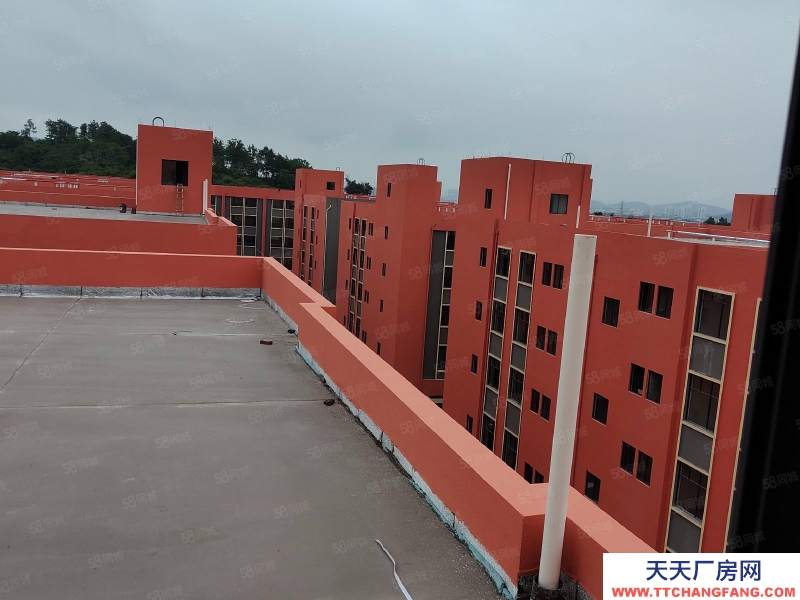 金華市武義(出售) 武義隆盛小微園2864平 位置好 出入方便 帶四間宿舍樓