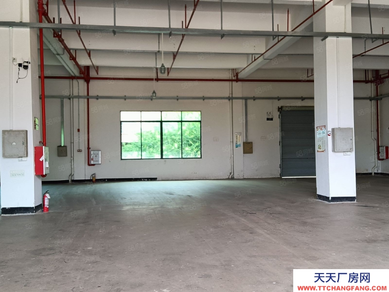 (出租) 河源市源城江東新區(qū)原房東標準廠房招租可做干制果蔬類