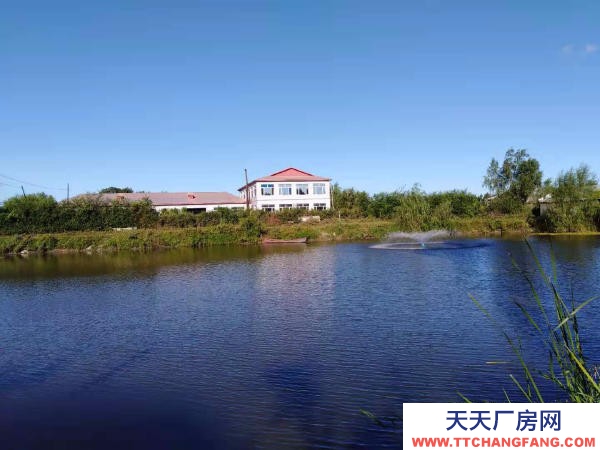 雙城出售雙城東官鎮服裝廠房和工業用地