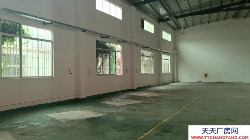 (出租) 河源紫金臨江原房東1000平方鋼構(gòu)廠房出租 低價(jià)出租 不限行業(yè)