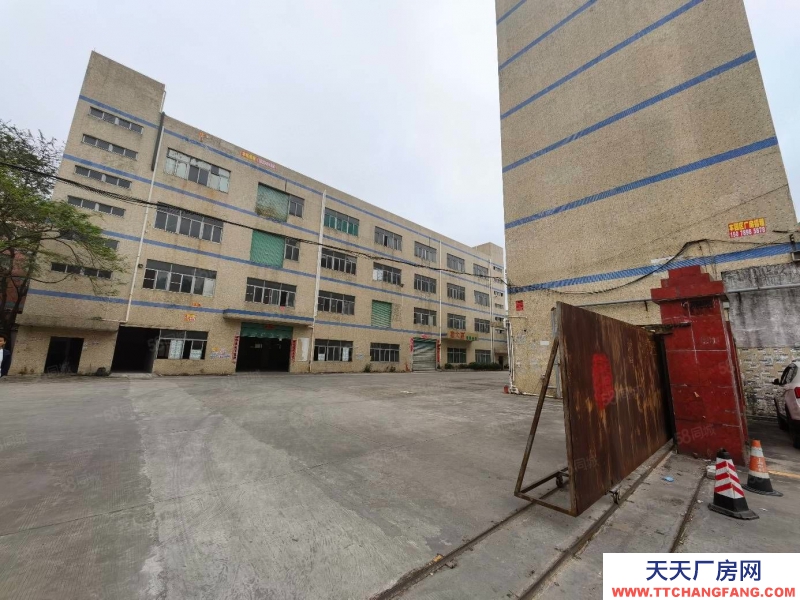 (出租) 河源紫金臨江6000平方廠房倉庫免租6個月可做焙烤行業